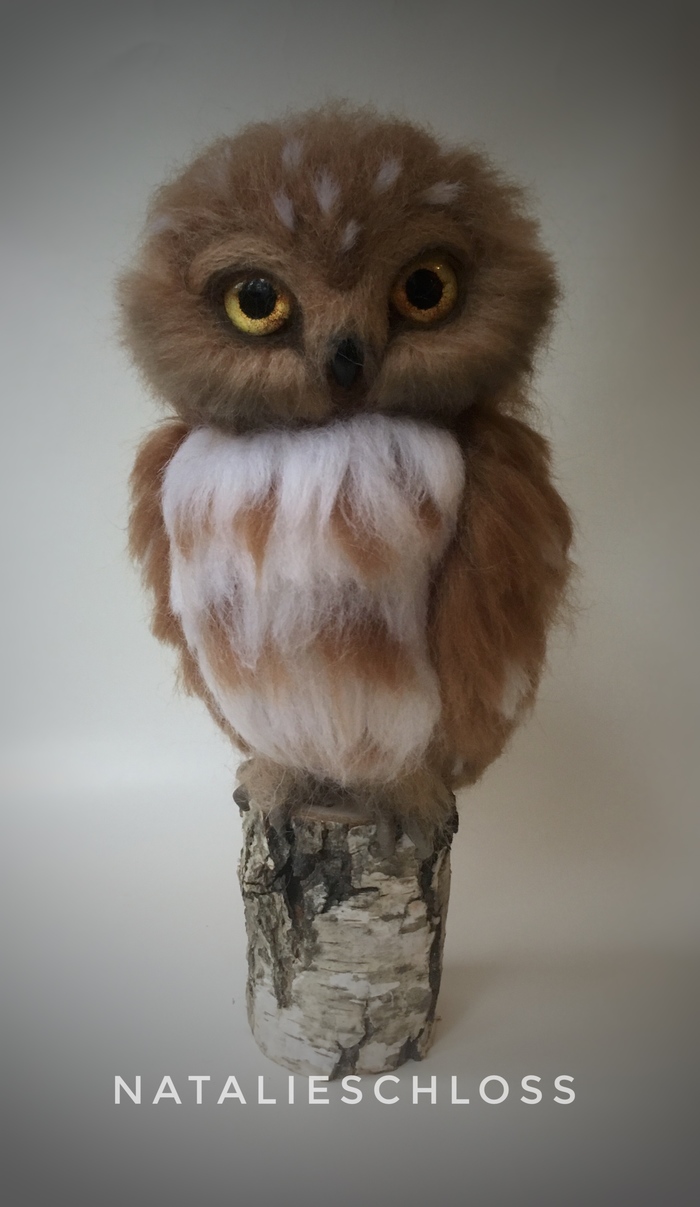 Owlet. Dry felting. - Dry felting, Owl, Sparrow owl, Longpost, My
