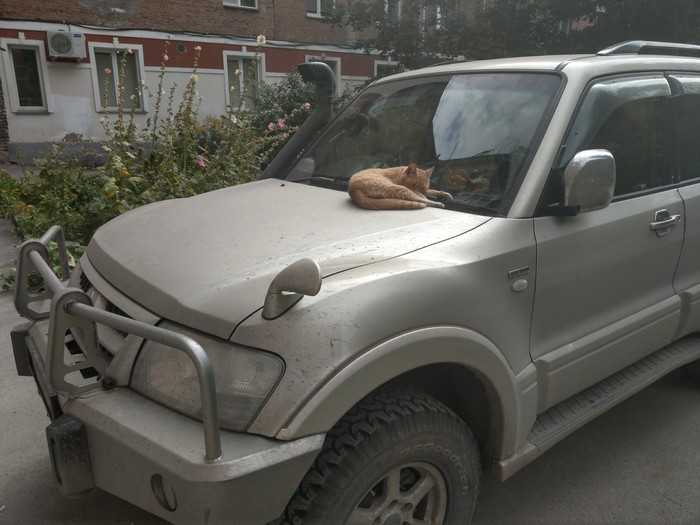    ,  . Mitsubishi Pajero,  , , 