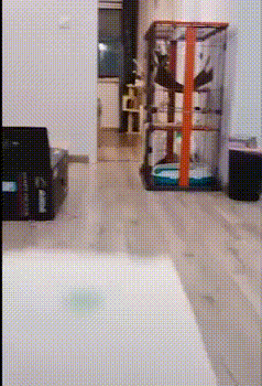 1538846194146767741.gif
