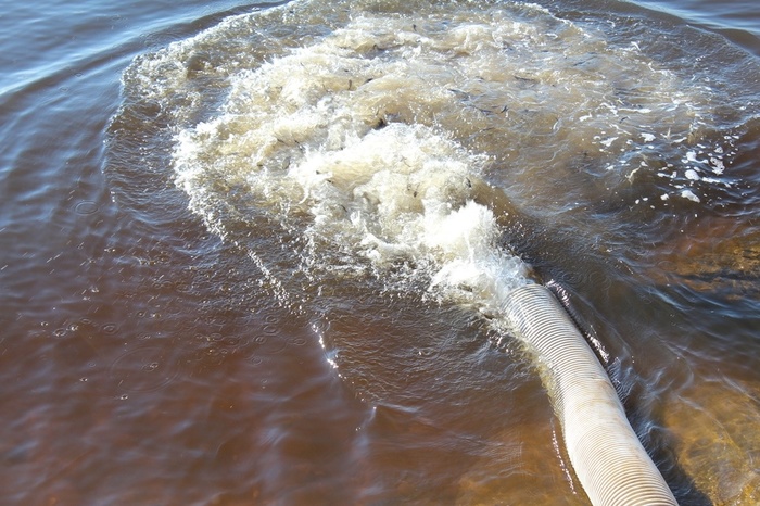 152,000 sterlet and carp were released into the reservoirs of the Nizhny Novgorod Region - Nizhny Novgorod Region, Stocking, Pisciculture