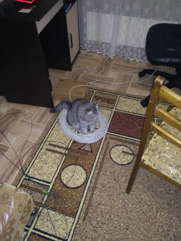     ,  , 