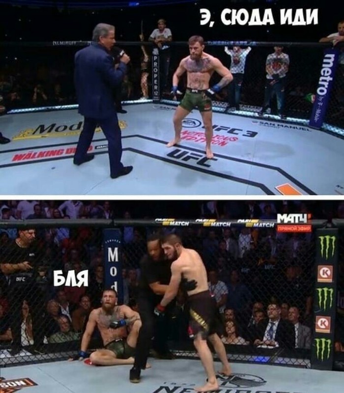 Briefly about the last match - The fight, Ufc, Conor McGregor, Khabib Nurmagomedov, Mat, Humor