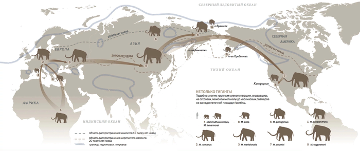 Карта обитания мамонтов