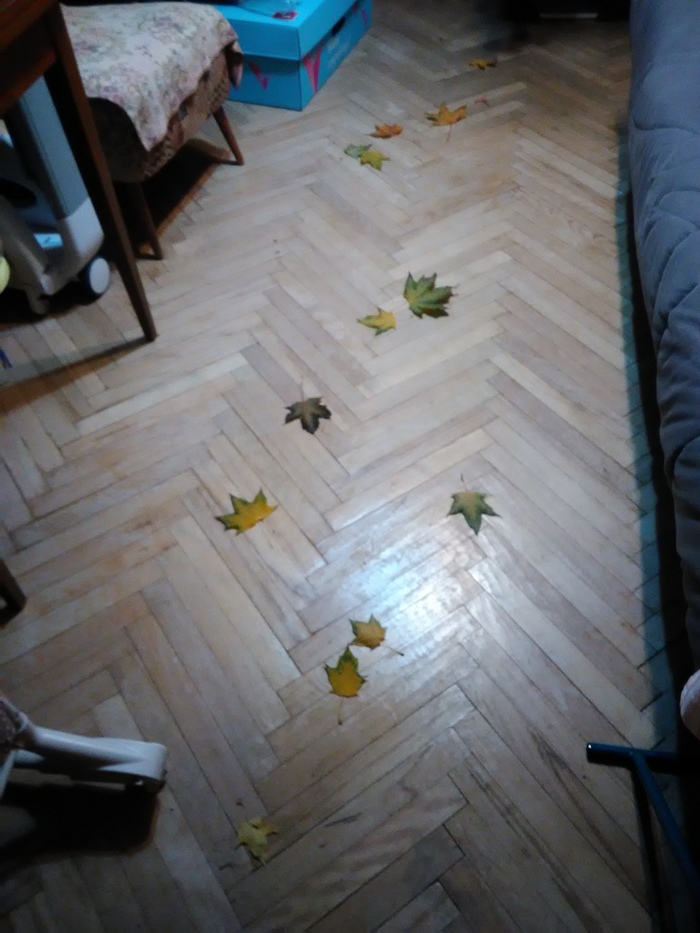   , 