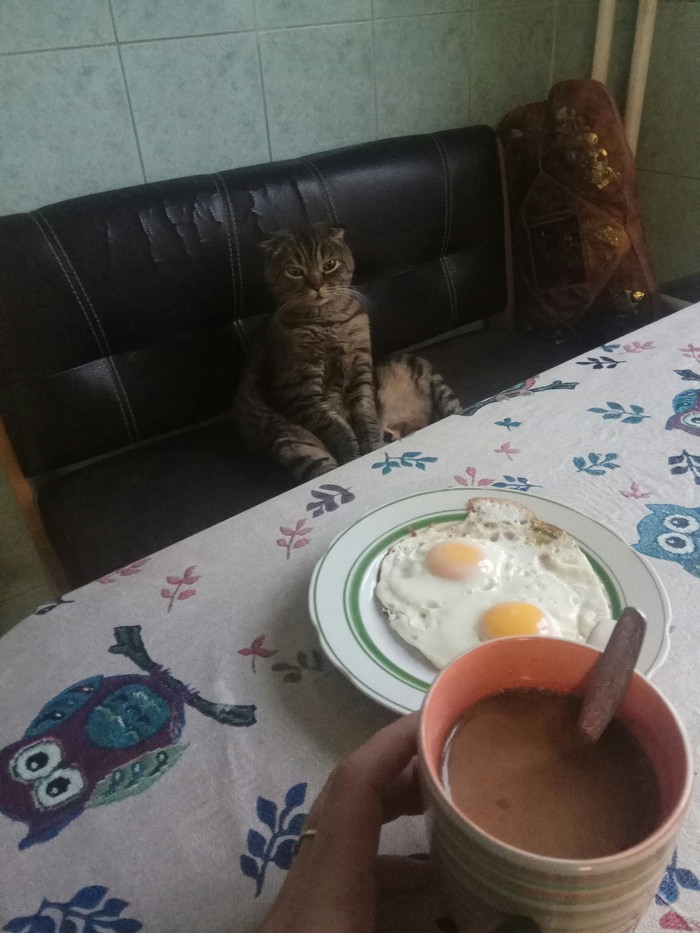 ������ ����, ������!