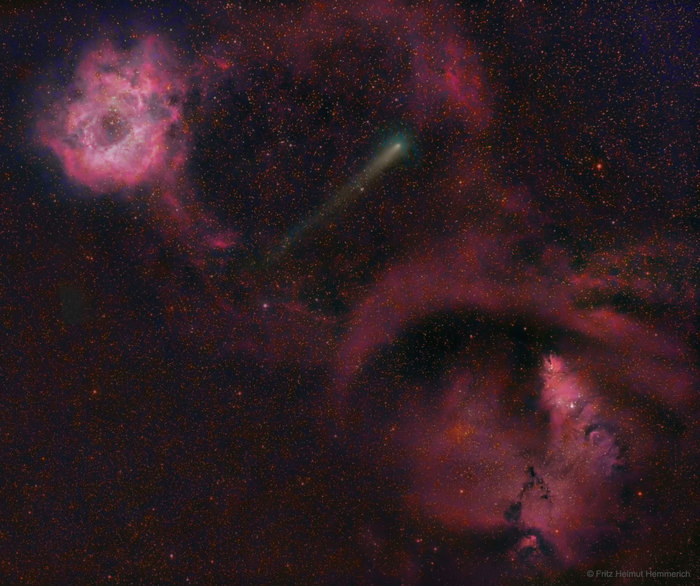 Comet 12P between the Rosette and Cone Nebulae - Comet, Meteorite, Nebula, Stars, Space, Astronomy, Astrophoto, Universe