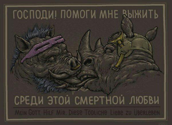 S*KAAAAAAA - Images, Love, , Rhinoceros, , Bebop and Rocksteady