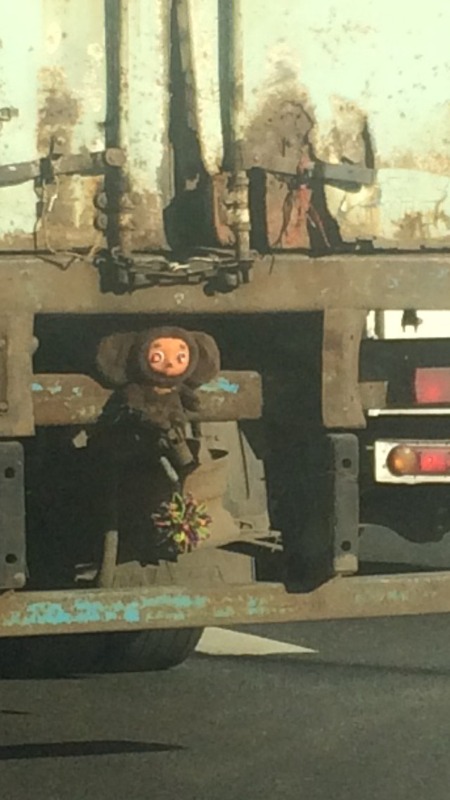 Cheburashka crossed over to the other side - My, Cheburashka, Dalnoboy, Kripota, Wagon, Truckers