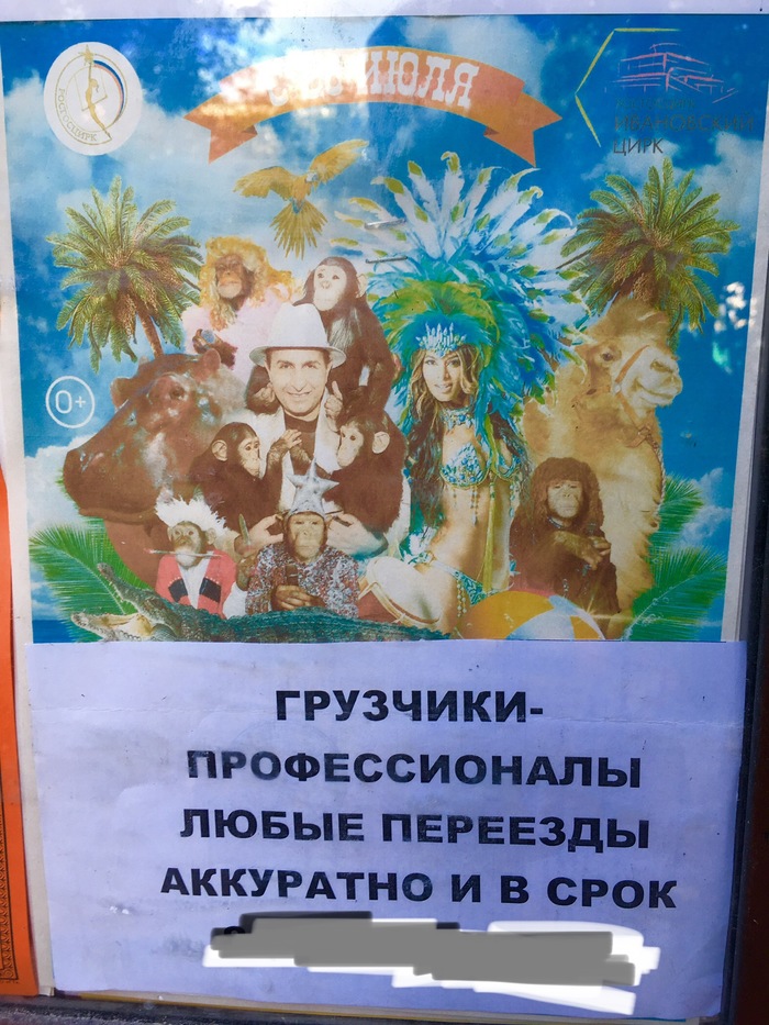 Это , блин , не переезд , а цирк какой-то!!!