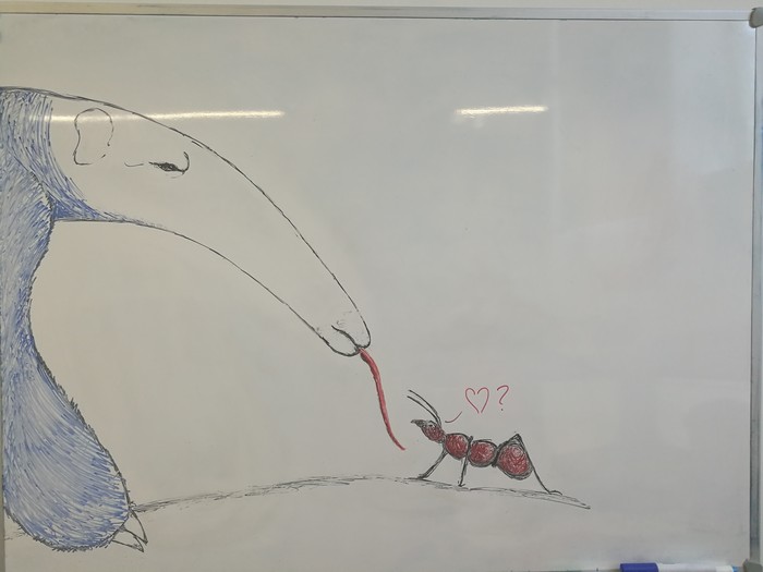 Creativity at work from a colleague - Ant-eater, Drawing, Ants, Love, Board, Creative