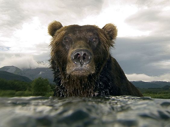 ������, �������. ��� �������?