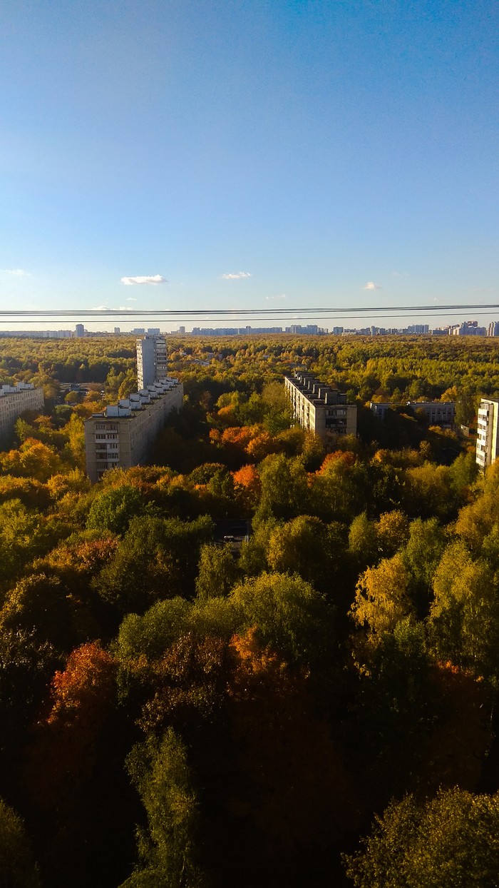 And from our window, yellow autumn is visible - Autumn, Moscow, Bitsevsky Park, Yuao, Beautiful