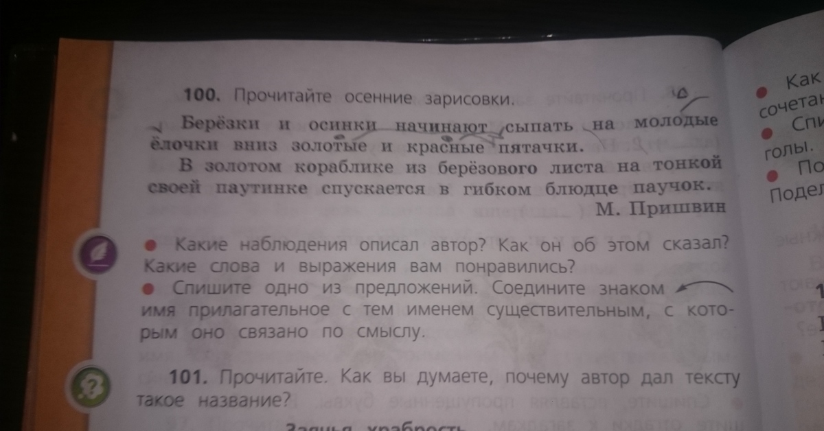 Прочитайте осенние. Прочитай осенние зарисовки Березки и Осинки начинают сыпать. Березки и Осинки сыпали на молодые елочки. Берёзки и Осинки сыпали на молодые елочки золотые и красные пятачки. Березы и Осинки начинают сыпать.