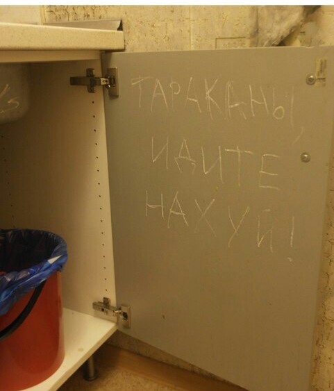 Используй мелок от тараканов правильно - Тараканы, Насекомые, Мелок, Мат, Правильно