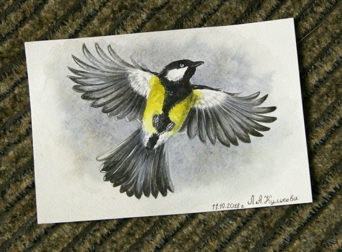 Bird - My, Watercolor, Birds, Drawing