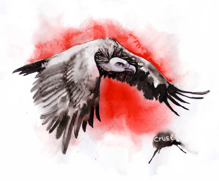 Inktober 2018 - My, Inktober, Drawing, Birds, Illustrations, Art, Vulture