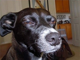 Про географию и железную логику