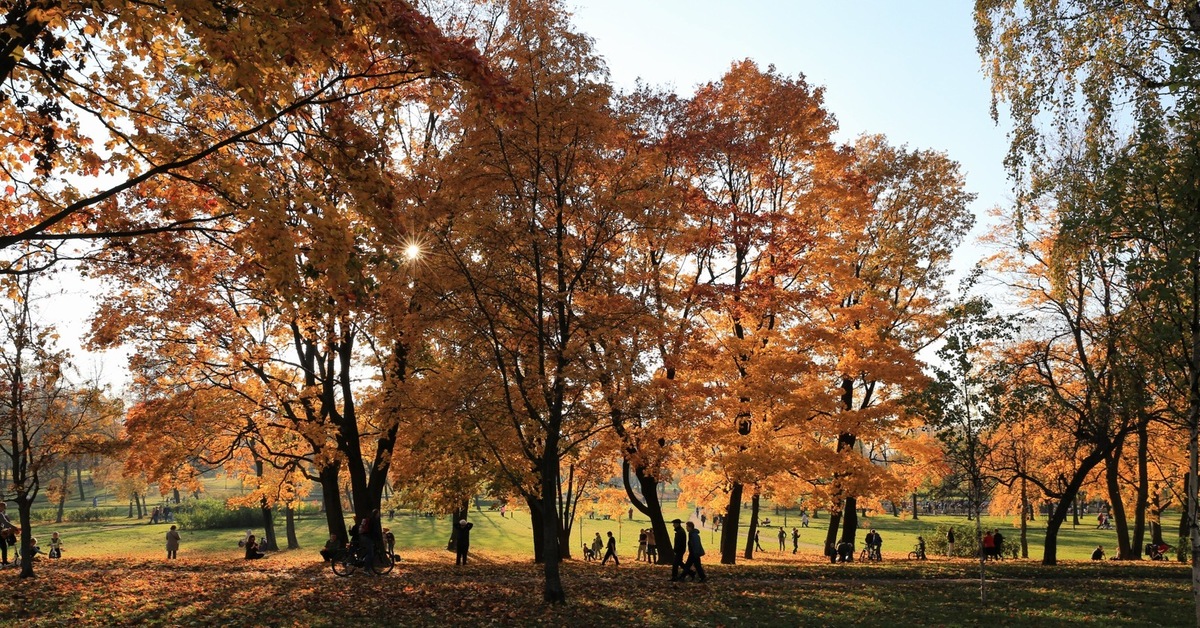 Парк куракина дача в санкт петербурге