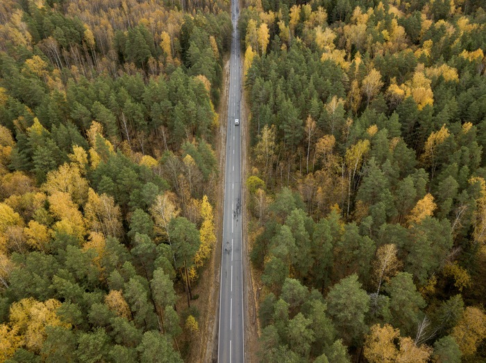 Aerial photo. - My, Airbrushing, Copter, Autumn, Road, Quadcopter