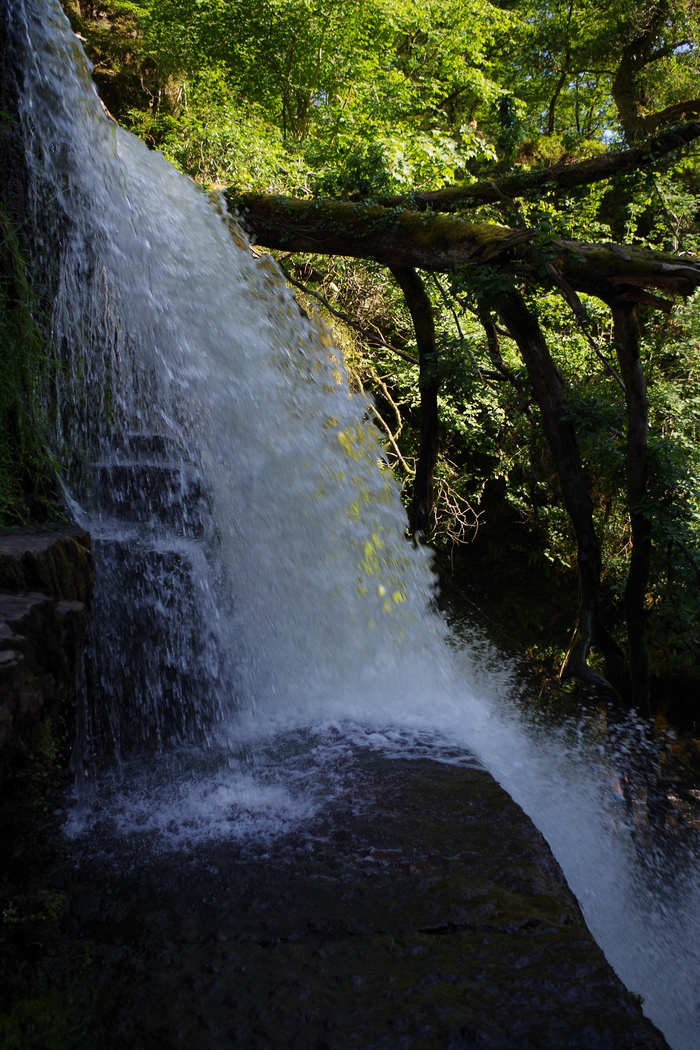 Путешествие в Уэльс. Часть 1. Путешествия, Англия, Уэльс, Фотография, Горы, Овцы красивые животные, Длиннопост
