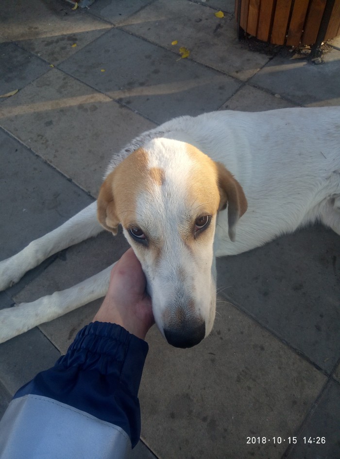 ������ ����� ����� ����������������