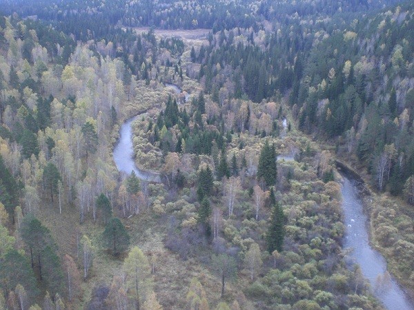 Paragliding or the golden colors of Krasnoyarsk - Nature, Autumn, Small aircraft, Travels, Moscow, Flight, A life, Longpost