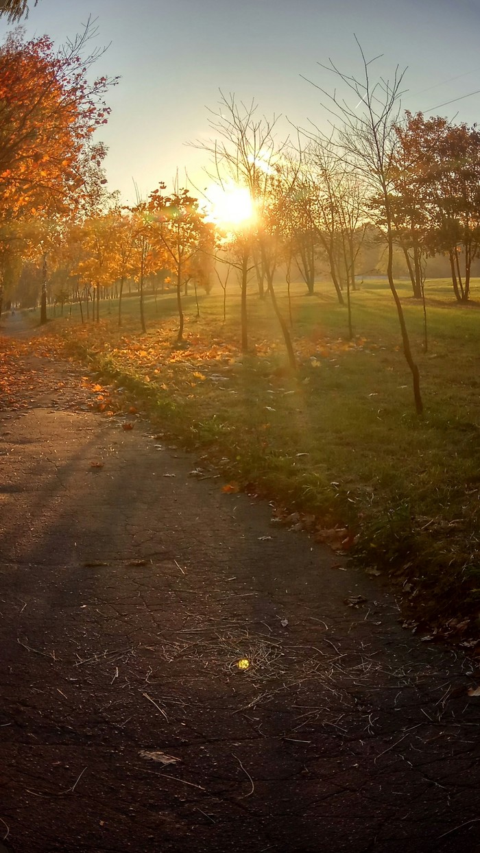 Autumn - My, Mobile photography, Autumn