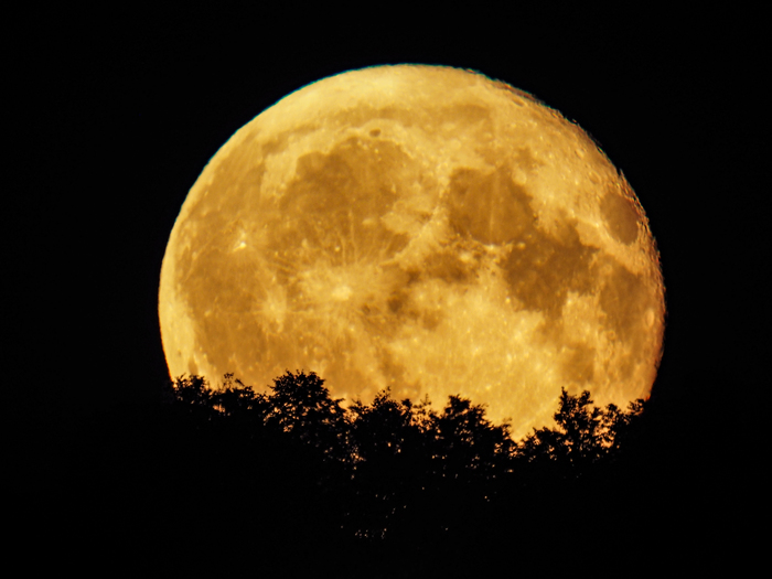 Moon rise - My, moon, Moon rise, Telescope, Astrophoto