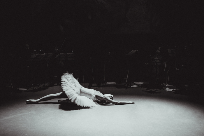 Swan Lake - My, Ballerinas, Black and white photo, Reportage