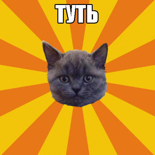 Respect Hlebushek4you - Memes, Tuti, cat, Longpost