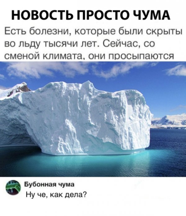 Новость просто чума - Чума, Новости, Яплакал