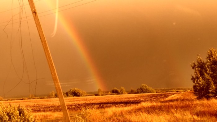 rainbow autumn - The photo, Autumn, Apocalypse, Rainbow, Sepia