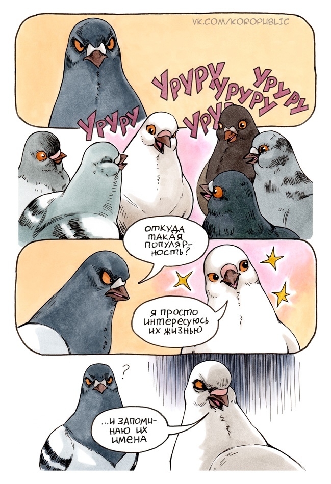 Pledge of popularity - Comics, Pigeon Gennady, Koropublic