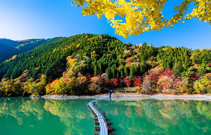 Variegated colors - , Japan, Landscape, Autumn