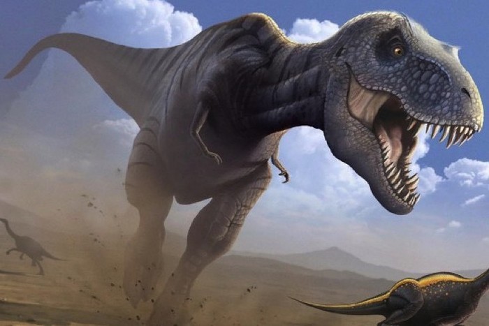 Tyrannosaurs: scientists showed what they really looked like - Paleontology, The science, Tyrannosaurus, Appearance, Longpost