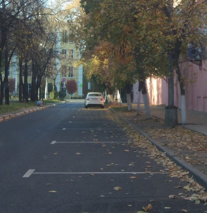 Savings in 2018. Voronezh. - My, Paid parking, Voronezh