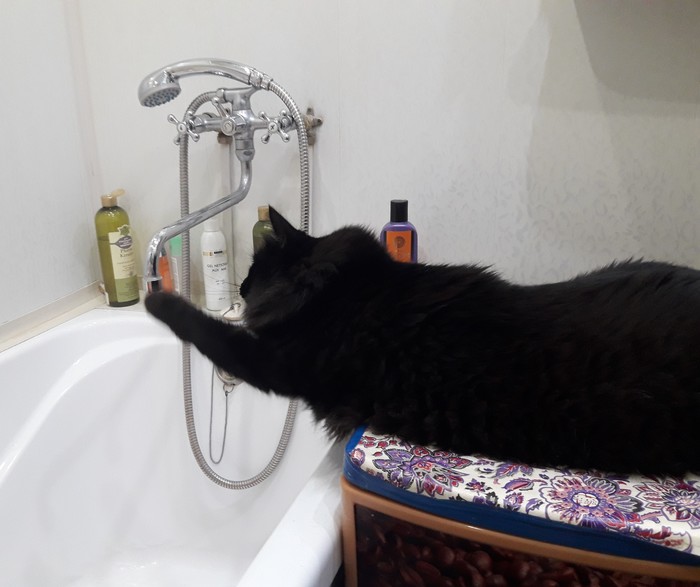 ���� �����