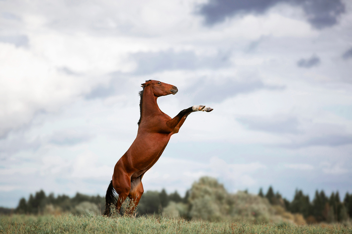 Джеймс Бакстер