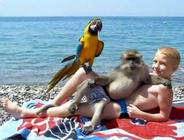 Photo with a friend - Sea, , Monkey, For memory