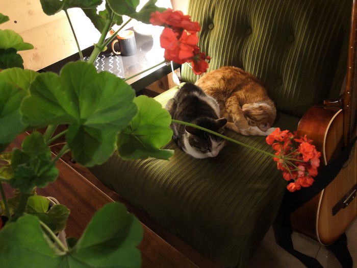 Ҹ���� ������� �����