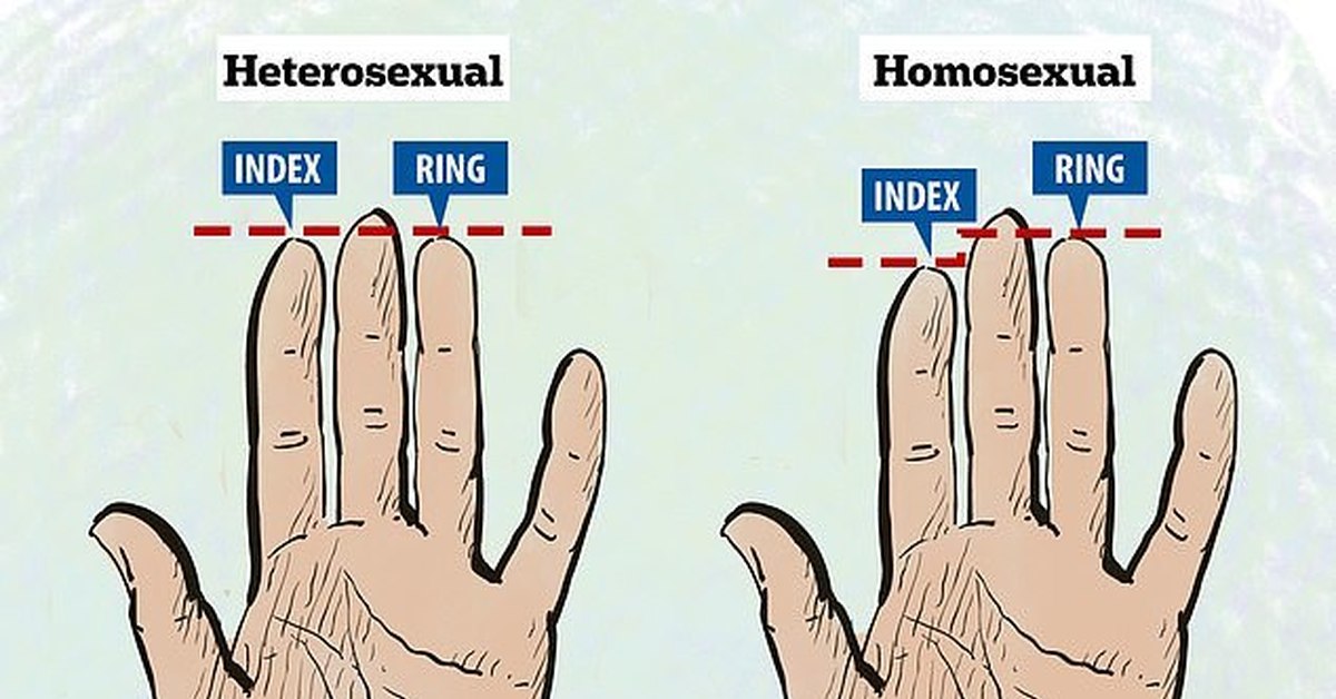 Сколько лет пальцами. Расположение колец на пальцах. Тест на ориентацию. Тест на ориентацию для девушки. Длина указательного и безымянного пальца.