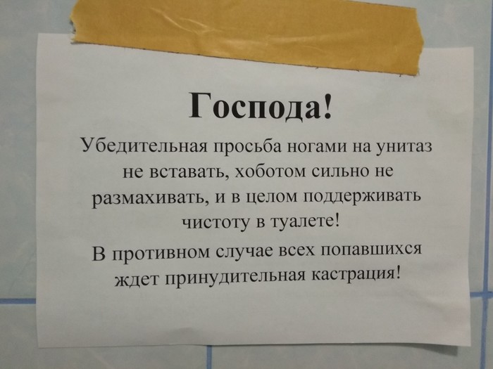 В одном из туалетов нашей Родины