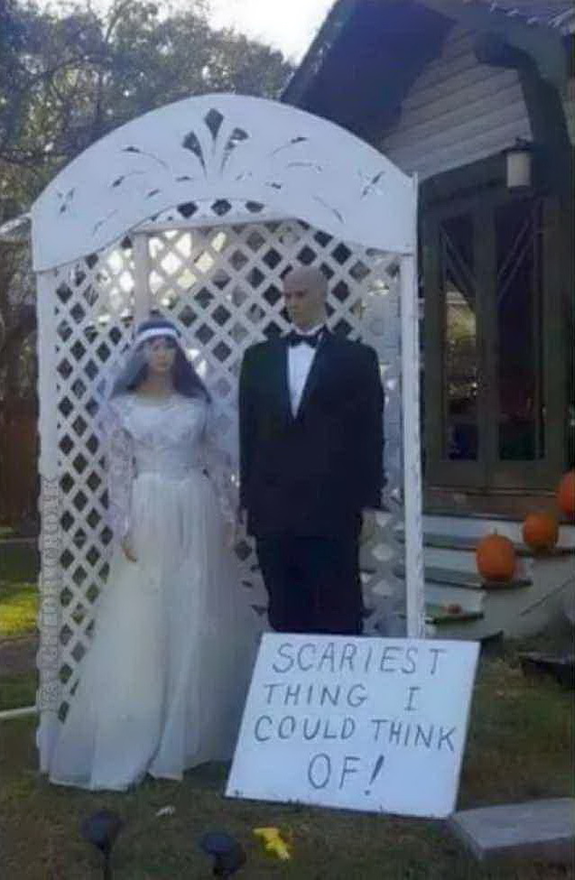 ����� �������� �� �������� �������