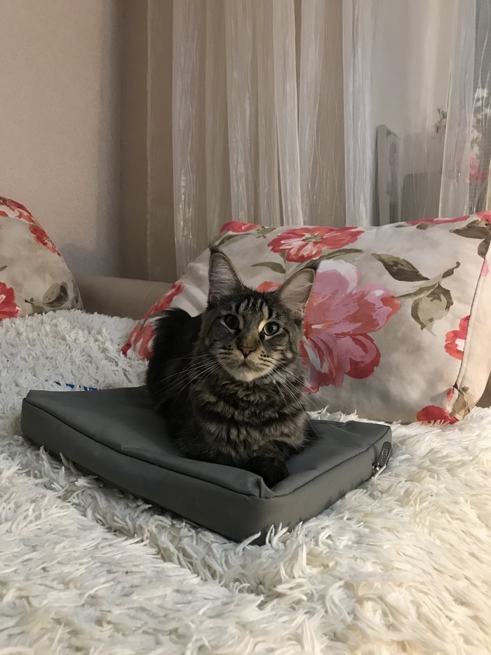 �, ���� ������� ���? �������, �������!