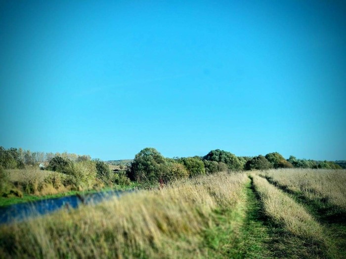 Upa river, Orlovo village - River, My, Ukrainian Insurgent Army, Tula region, Field