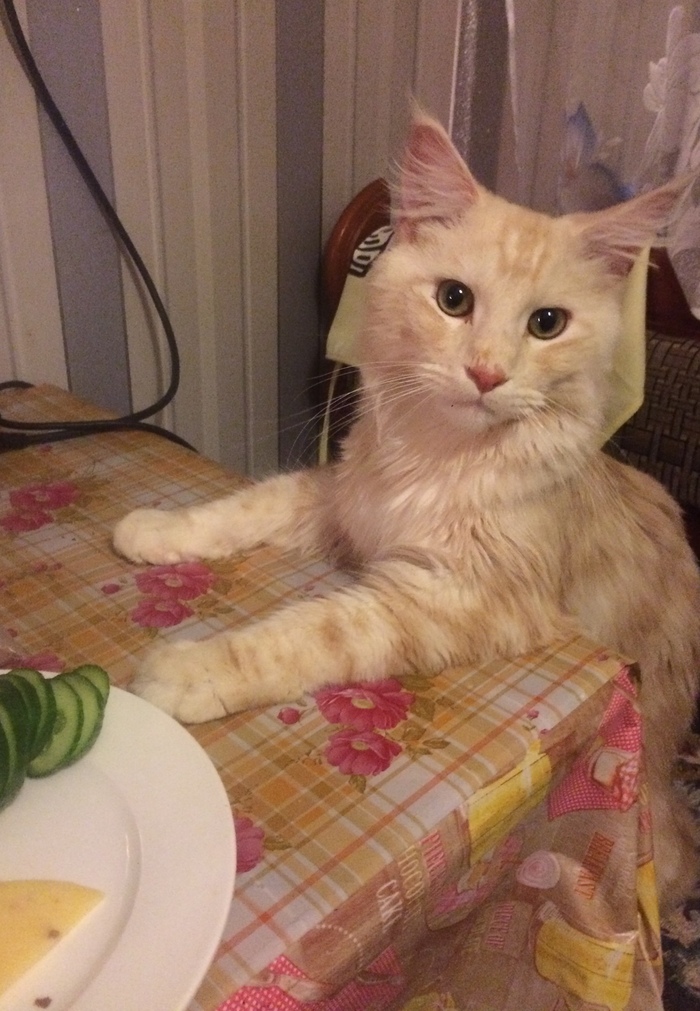 �������, �� ������ ���������?