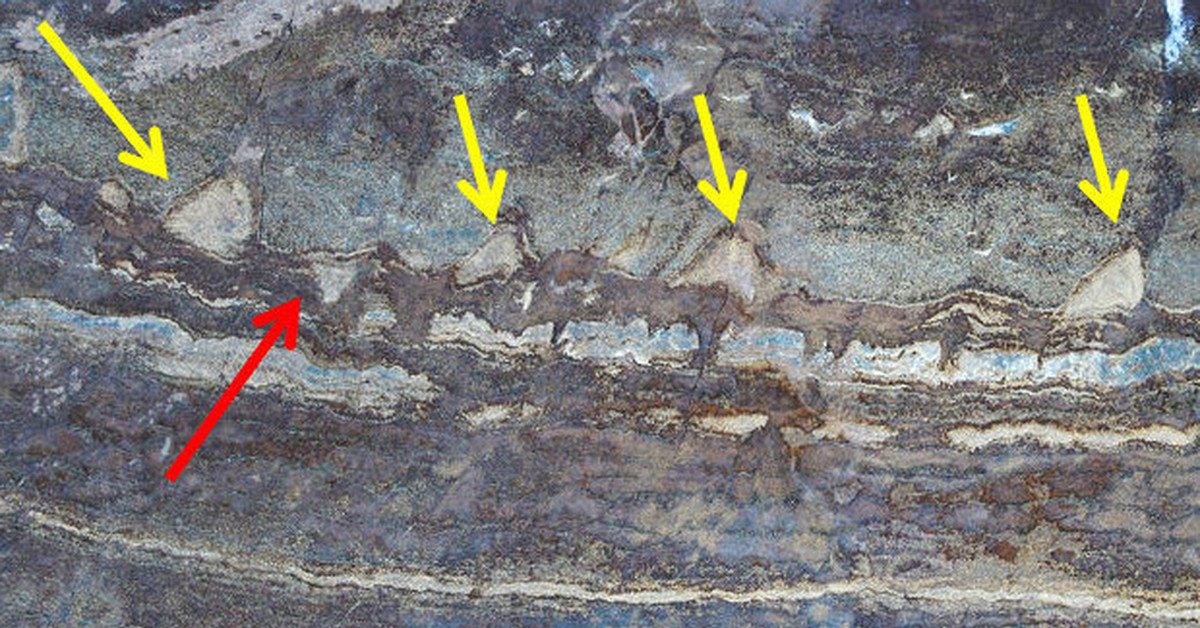 Следы жизни обнаружены. Следы горения. Древние отложения следы бактерий. Строматолиты) возрастом 3,7 млрд лет. Следы горения металла.