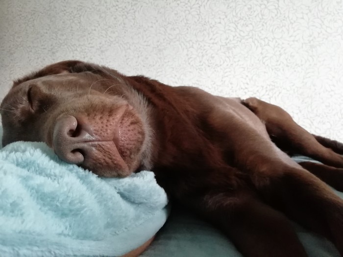 Уютный осенний выходной