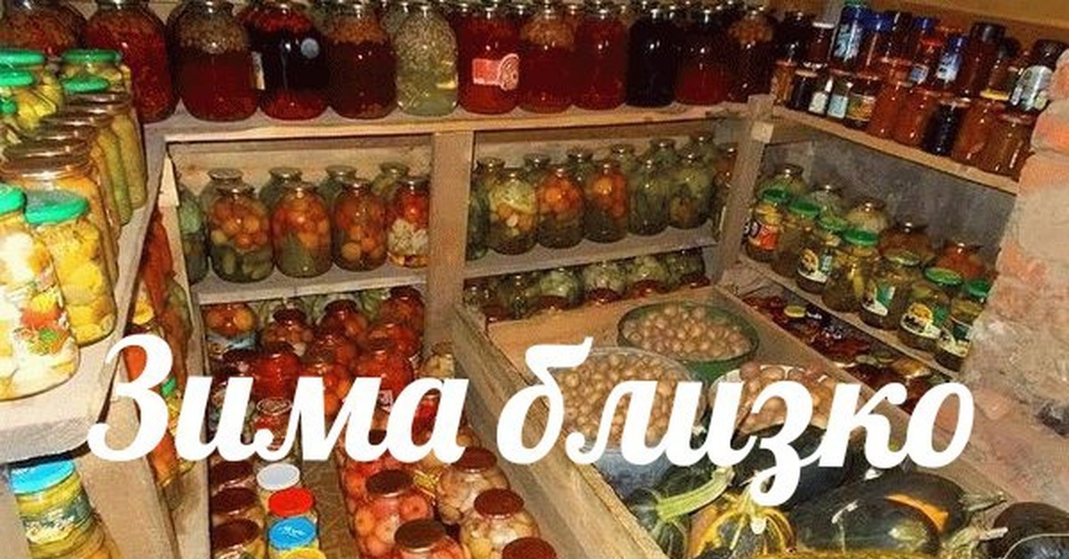 Запасы На Зиму Картинки Для Детей