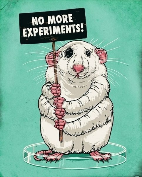 Enough experiments! - The photo, Images, Interesting, Animals